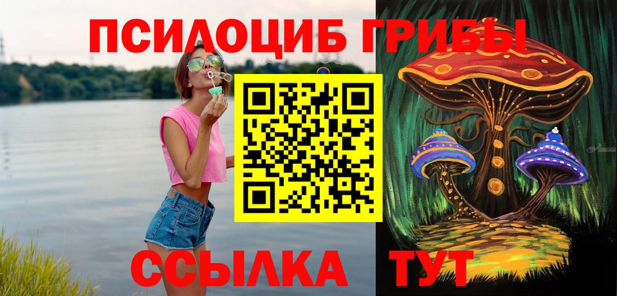 Галлюциногенные грибы Cubensis  Вход с VPN  Апатиты 